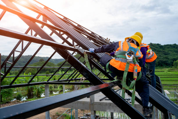 Best Roof Gutter Cleaning  in Conesus Lake, NY