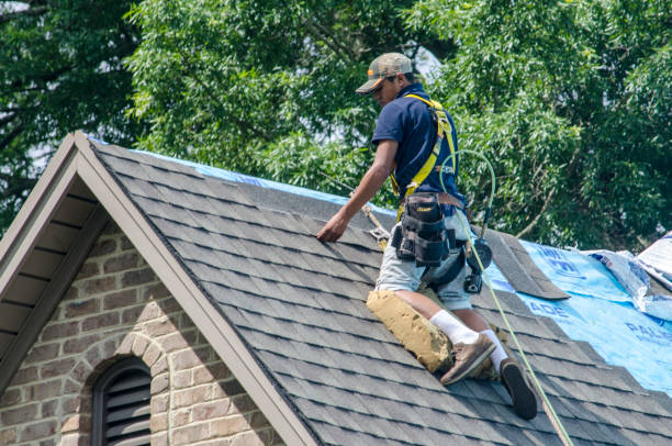 Best Residential Roofing Contractor  in Conesus Lake, NY